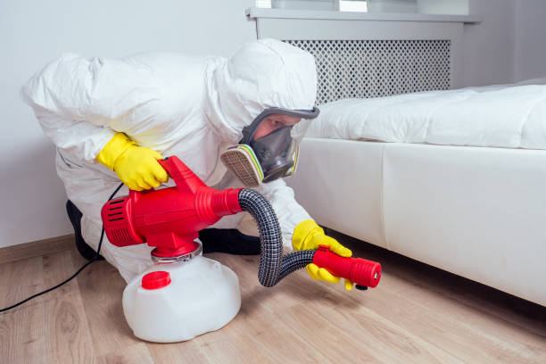 Real Estate Pest Inspections in Dade City North, FL